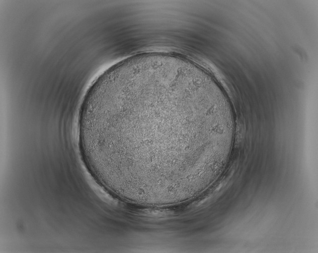 X0000113570795200910161517