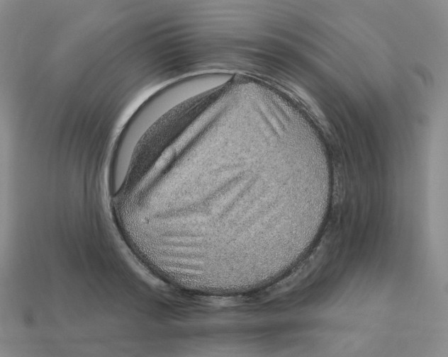 X0000113570796200910161517