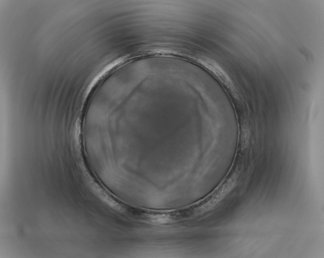 X0000113570798200910161517