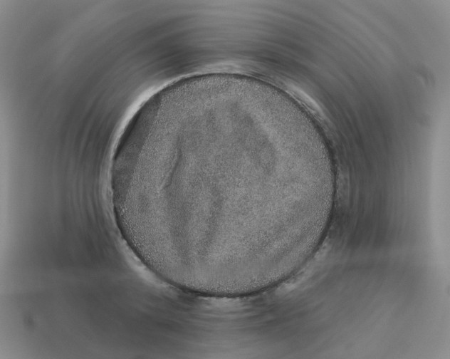 X0000113570800200910161517