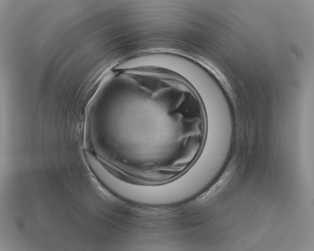 X0000113570801200910161517