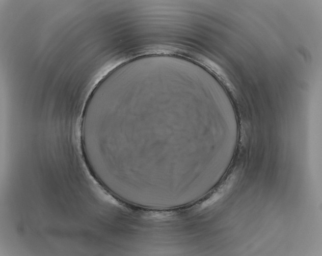 X0000113570802200910161517