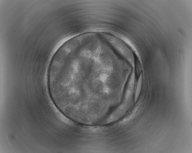 X0000113570803200910161517