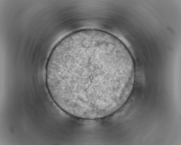 X0000113570807200910161517