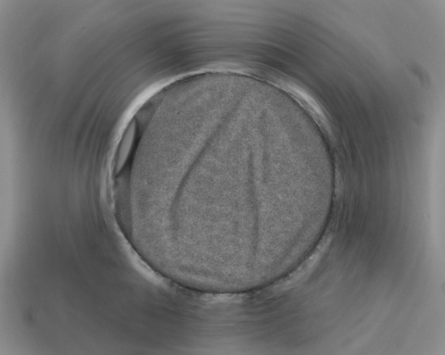 X0000113570808200910161517