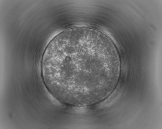 X0000113570810200910161517