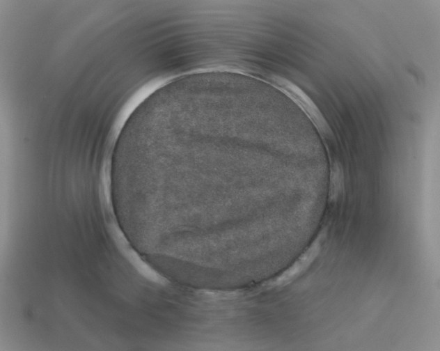 X0000113570812200910161517