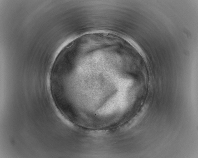 X0000113570813200910161517