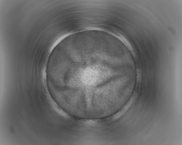 X0000113570814200910161517