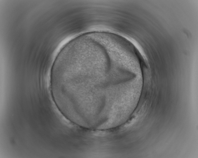 X0000113570815200910161517