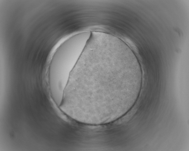 X0000113570816200910161517