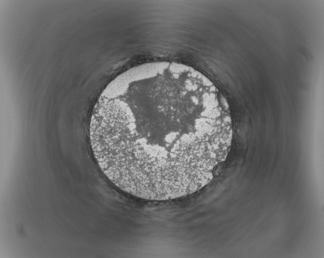 X0000113570817200910161516