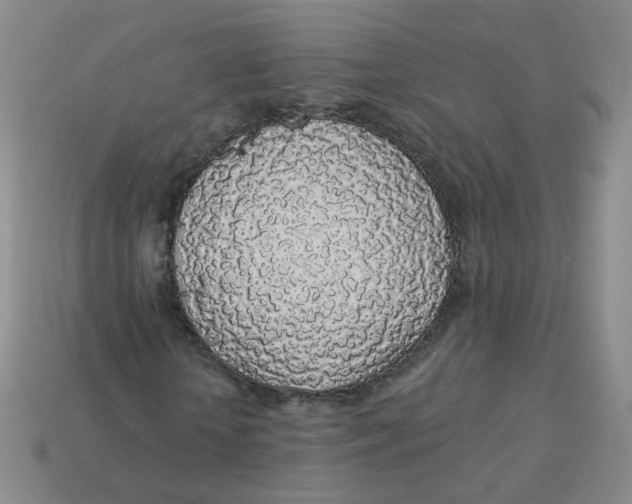 X0000113570818200910161516