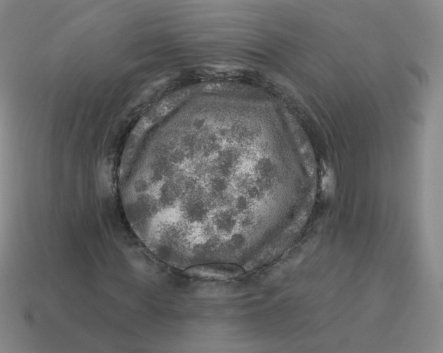 X0000113570819200910161516