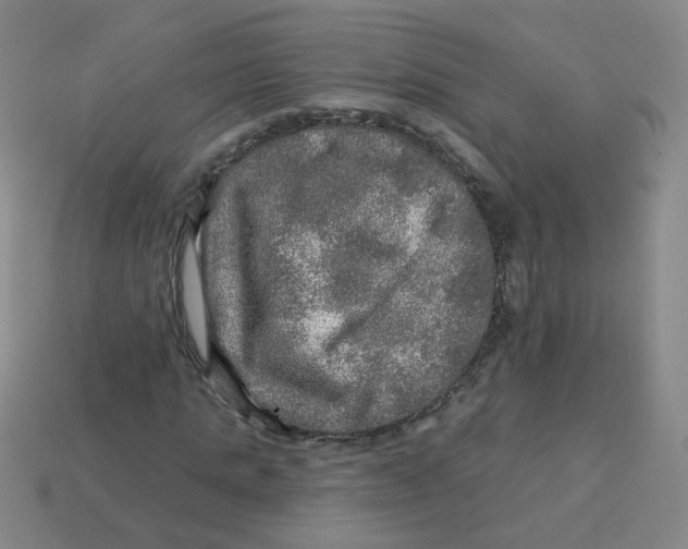 X0000113570821200910161516