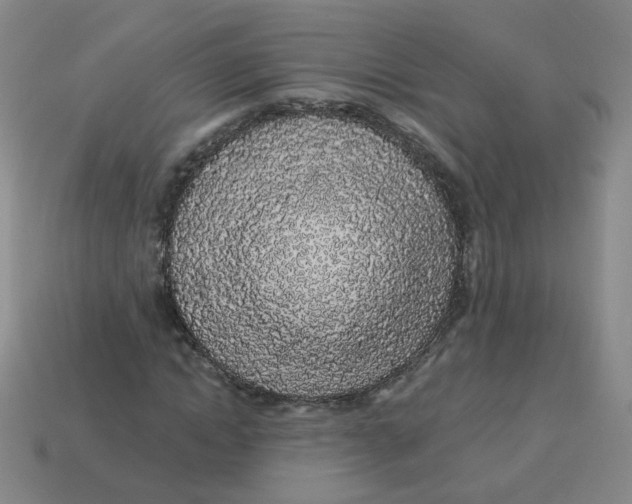 X0000113570822200910161516