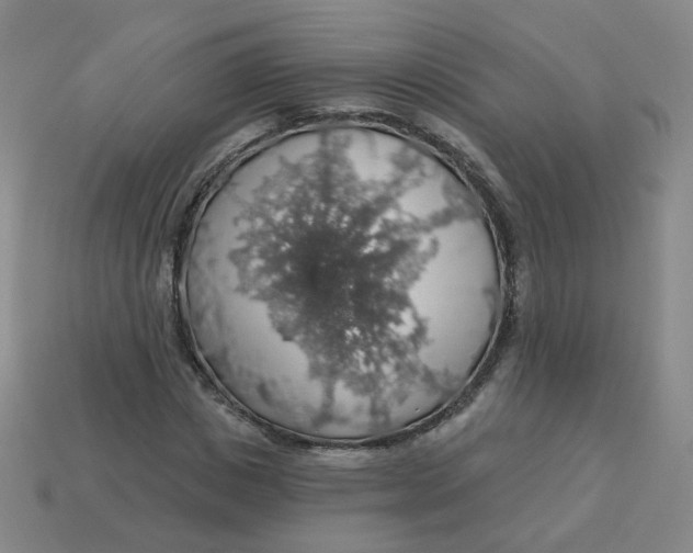 X0000113570825200910161516