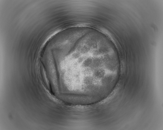 X0000113570827200910161516