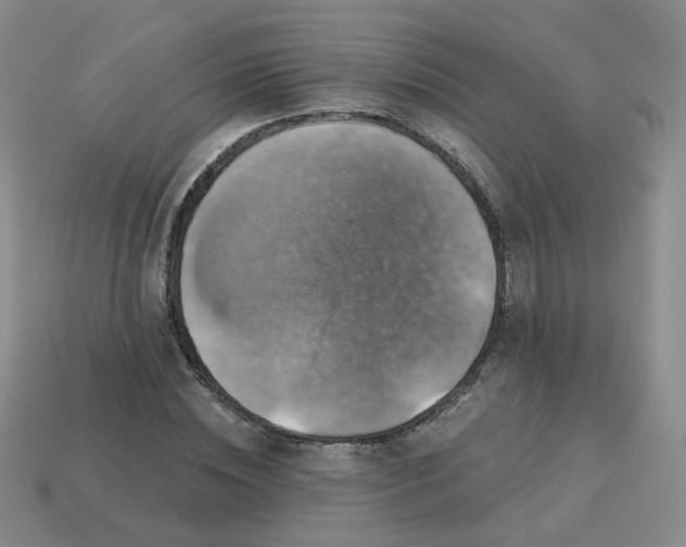 X0000113570828200910161516