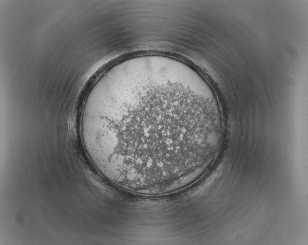 X0000113570830200910161516