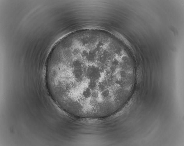 X0000113570831200910161516