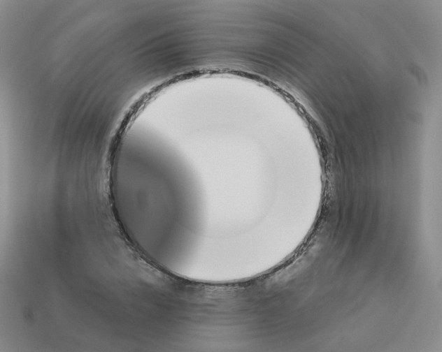 X0000113570832200910161516