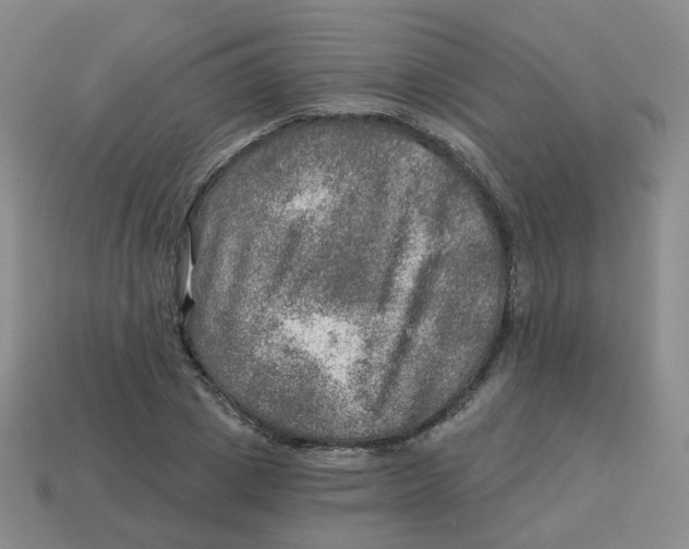 X0000113570833200910161516