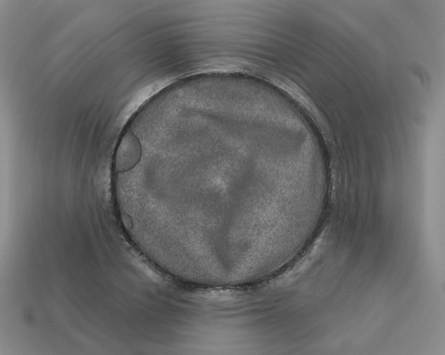 X0000113570834200910161516