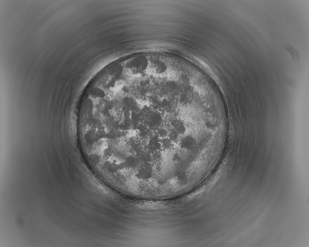 X0000113570835200910161516