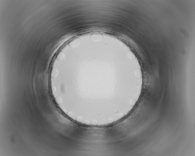 X0000113570836200910161516