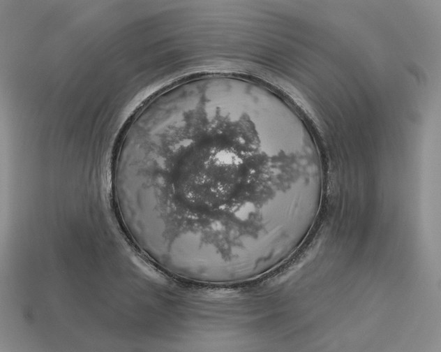 X0000113570837200910161516