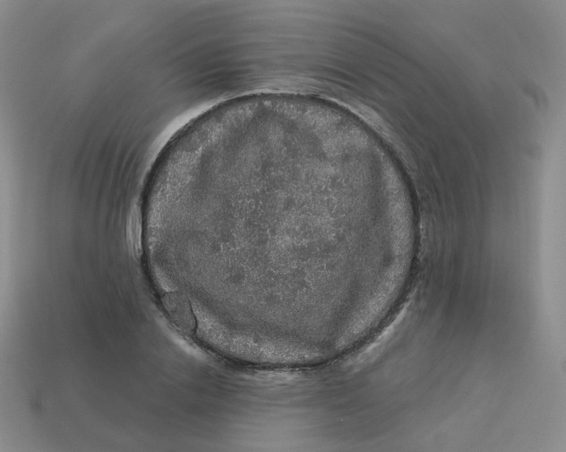 X0000113570838200910161516