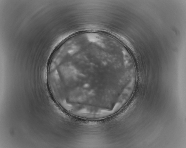 X0000113570839200910161516