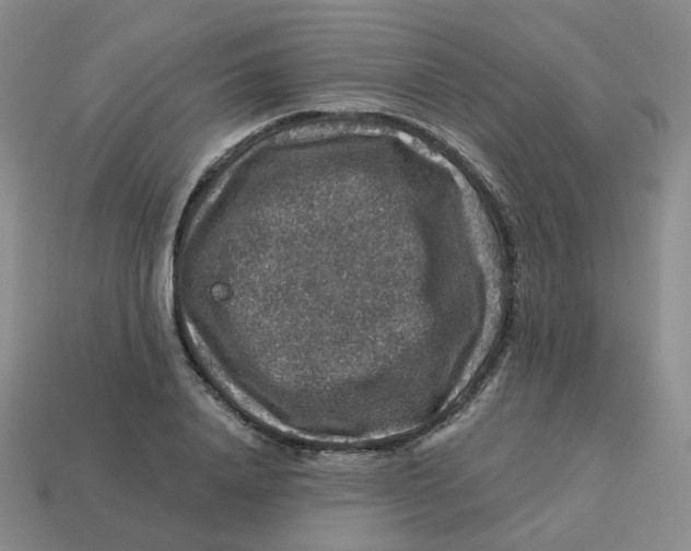 X0000113570840200910161516