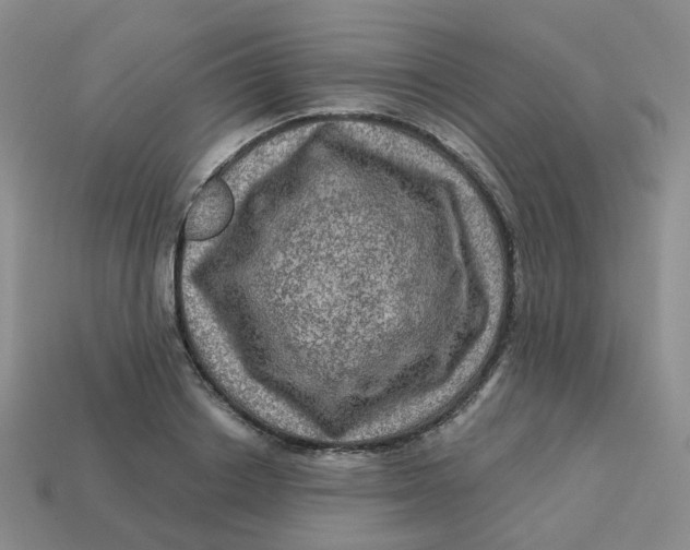 X0000113570842200910161516