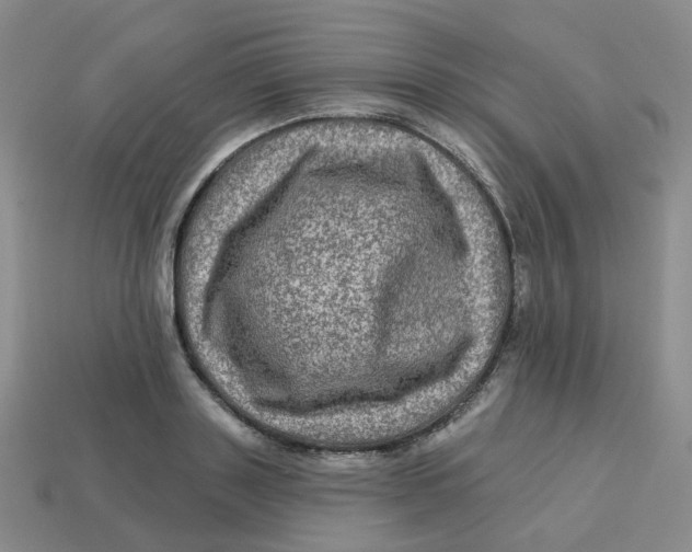 X0000113570843200910161516