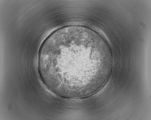 X0000113570844200910161516