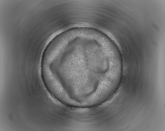 X0000113570845200910161516