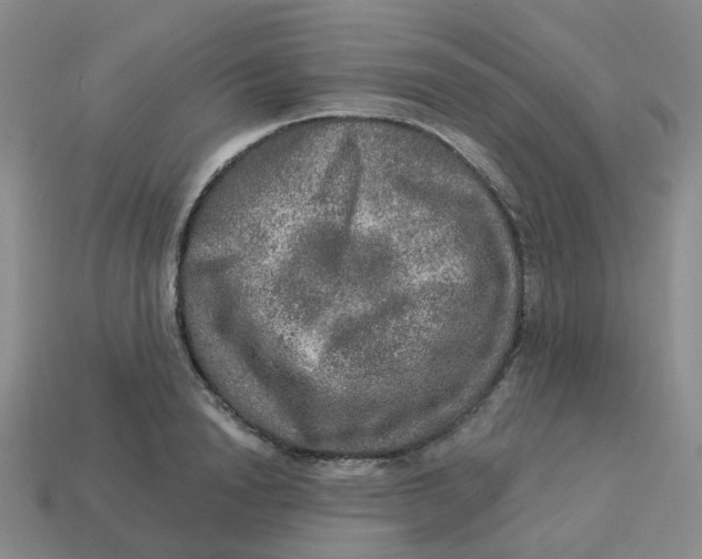 X0000113570846200910161516