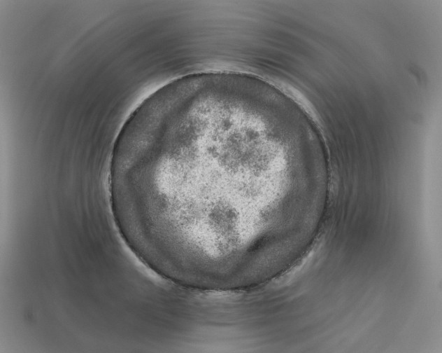 X0000113570847200910161516