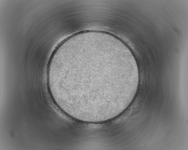 X0000113570848200910161516