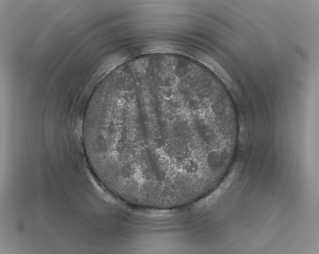 X0000113570849200910161516