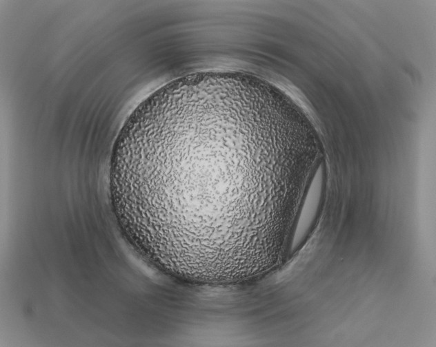 X0000113570850200910161516