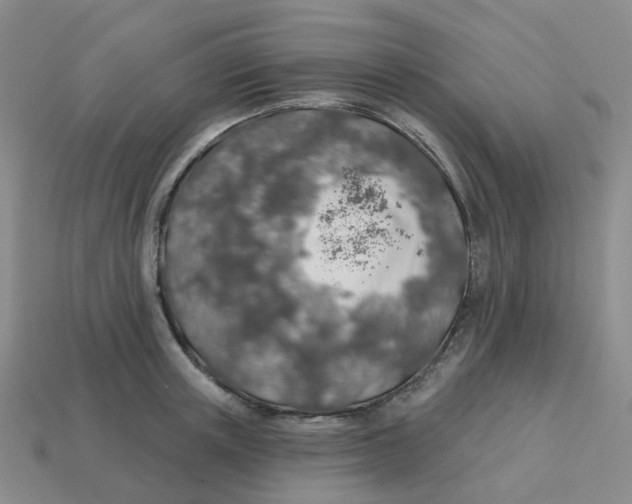 X0000113570851200910161516