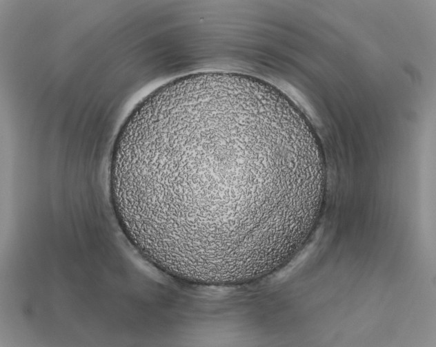 X0000113570854200910161516