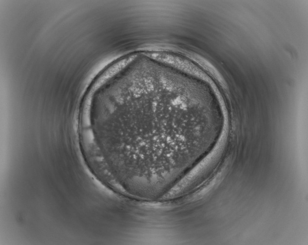 X0000113570855200910161516