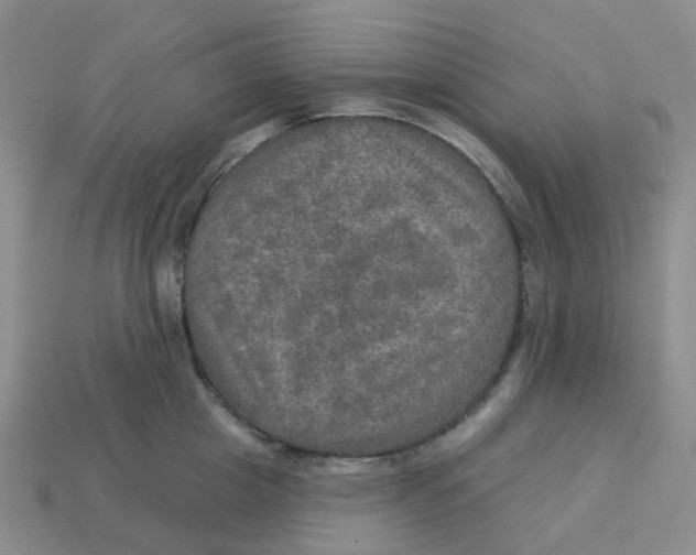 X0000113570857200910161516