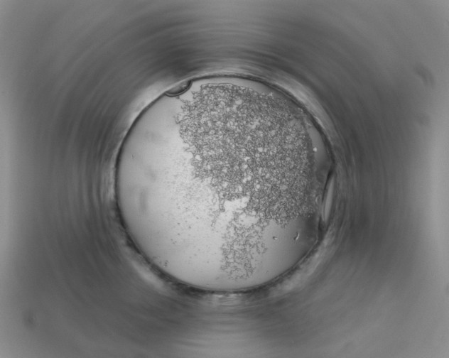 X0000113570858200910161516