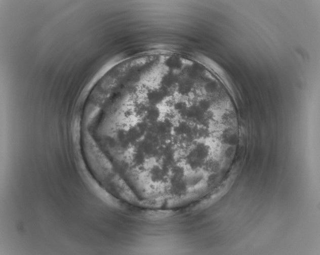 X0000113570859200910161516