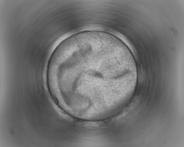 X0000113570861200910161516